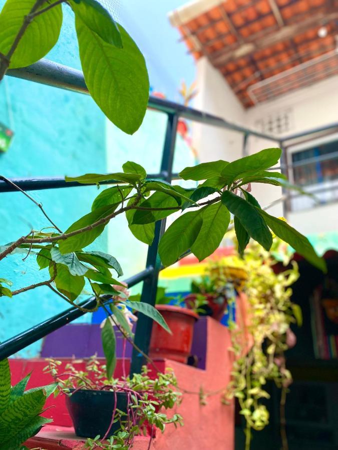 Casa Guarnice Hostel เซาลูอิส ภายนอก รูปภาพ